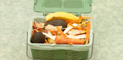 Food waste bin 