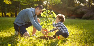 Man and boy planting a tree